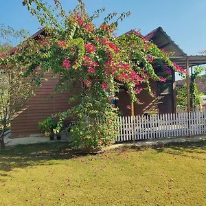 https://the-nirvana-nest.top-gurgaonhotels.com