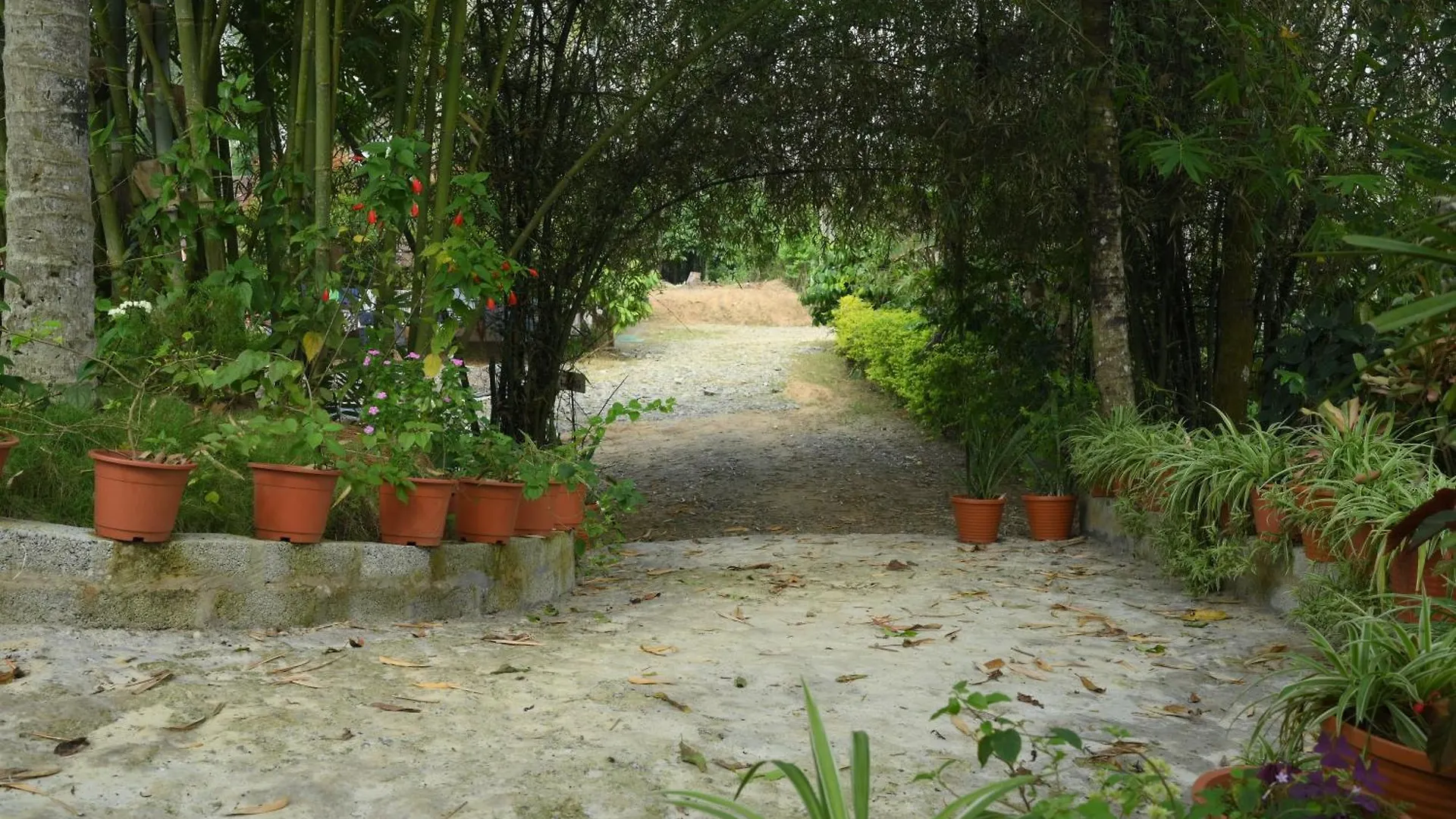 Coffee Island Resort Kaniyambetta Villa