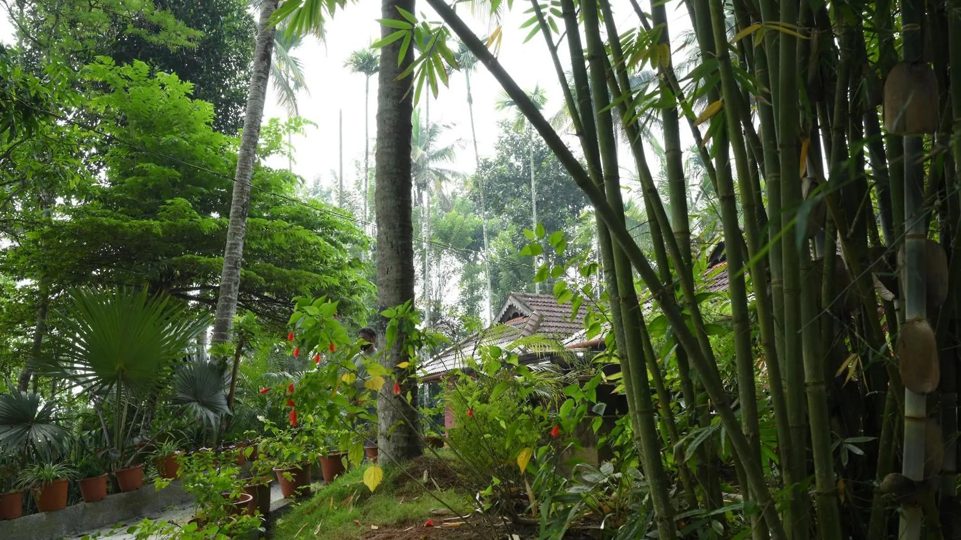Villa Coffee Island Resort Kaniyāmbetta