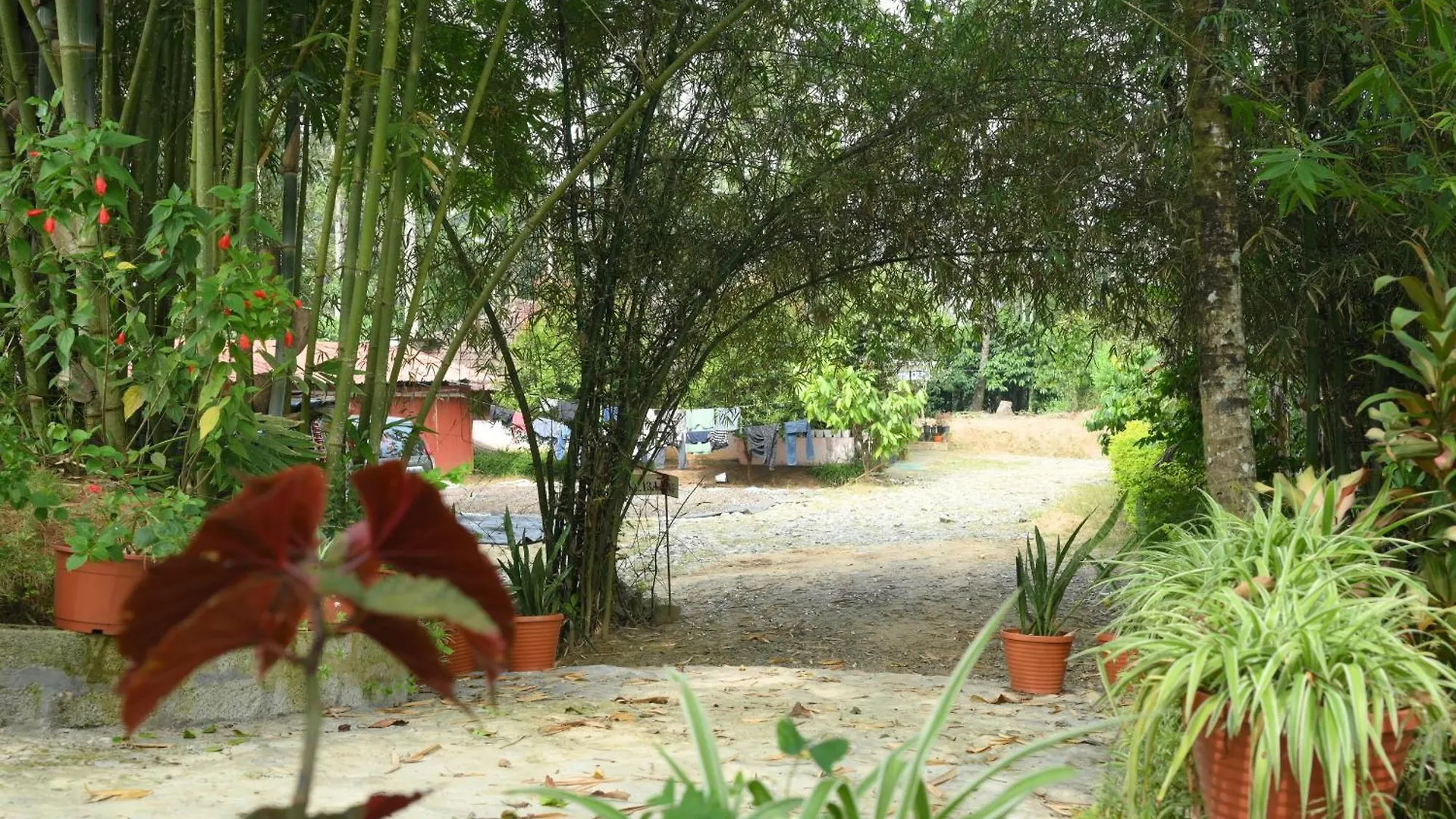 Coffee Island Resort Kaniyāmbetta 0*,  India